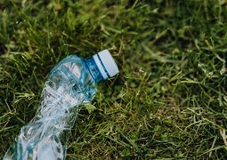 pexels-karola-g-4498090