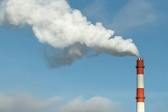 pexels-lauma-augstkalne-322733111-30833103