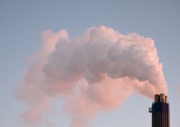 pexels-ludvighedenborg-7001364 (1)