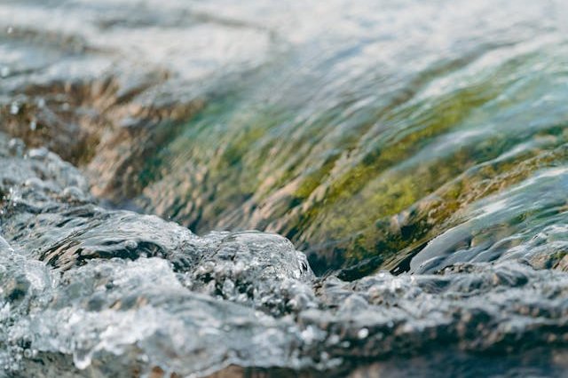 pexels-matthardy-3560030