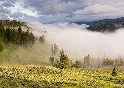pexels-pixabay-160661
