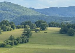 pexels-relita-32239864