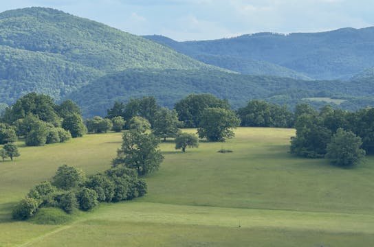 pexels-relita-32239864