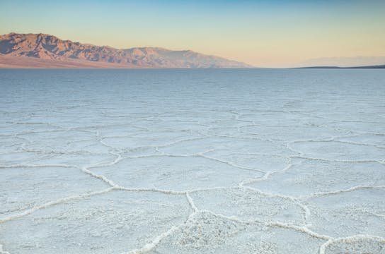 pexels-stephen-leonardi-587681991-34431864