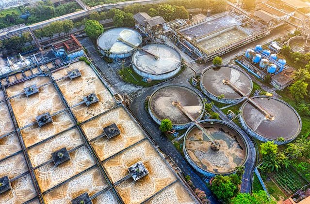 pexels-tomfisk-5115946