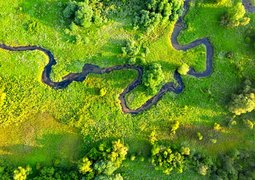 pexels-tomfisk-9708018