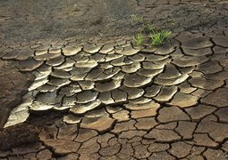 pisauikan-drought-2992785_640