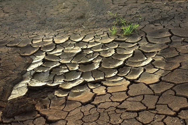 pisauikan-drought-2992785_640