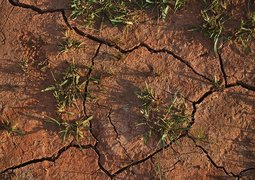 publicdomainpictures-soil-15540_640