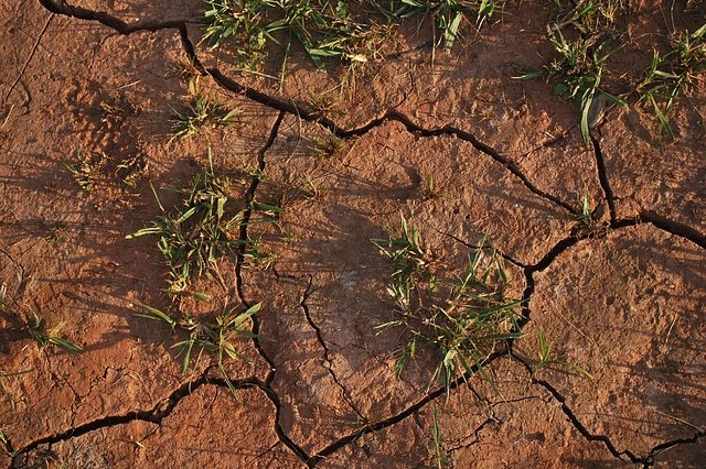 publicdomainpictures-soil-15540_640