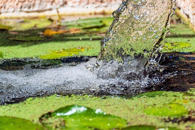 ri_ya-pond-7492377_640