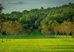 samuelstone-orchard-6525250_640