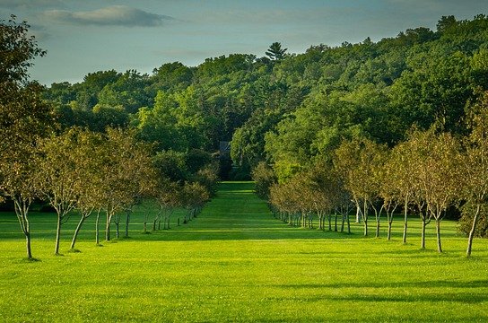 samuelstone-orchard-6525250_640