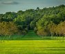 samuelstone-orchard-6525250_640