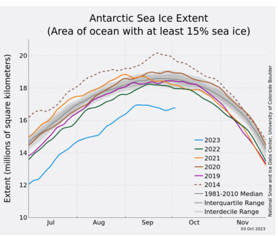 sea ice