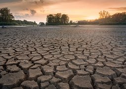 seaq68-dryness-3618653_640
