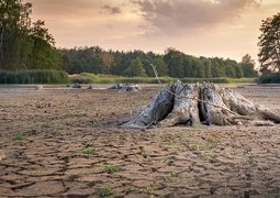 seaq68-dryness-3618657_640