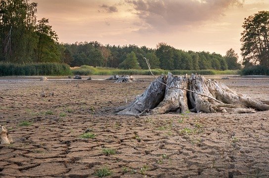 seaq68-dryness-3618657_640