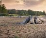 seaq68-dryness-3618657_640