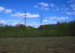 seregei-forest-2829818_640