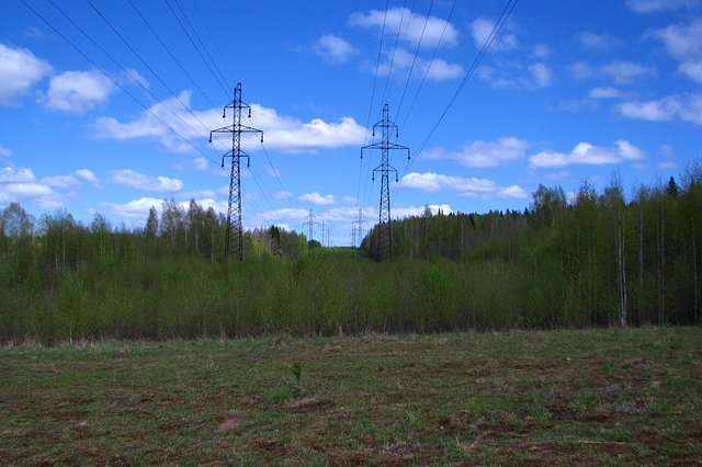 seregei-forest-2829818_640