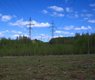 seregei-forest-2829818_640