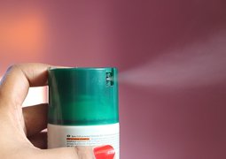shabbysgd-spray-548167_640