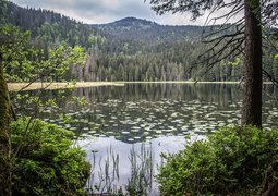 simy27-arber-lake-3237460_640