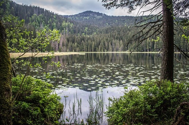 simy27-arber-lake-3237460_640