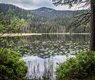 simy27-arber-lake-3237460_640