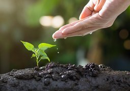 soil-8080788_640