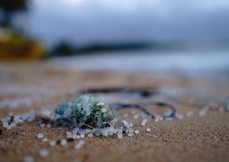 soren-funk-jQuky0VINAI-unsplash