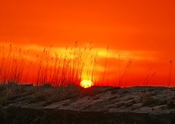 thomashendele-sun-209495_640