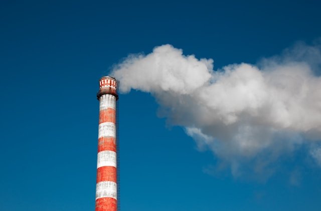 tinky-gFt0dU0rFaU-unsplash