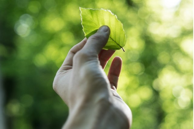 tobias-weinhold-hXPomXrpUP0-unsplash