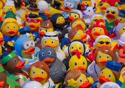 toy-ducks-535335_640.jpg