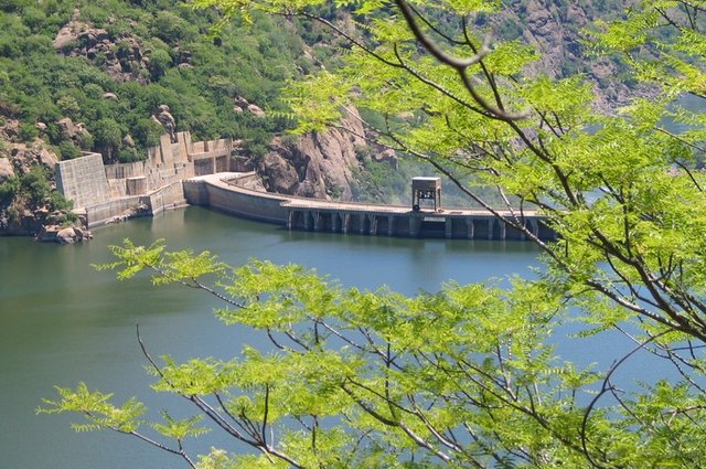 tree-water-branch-architecture-bridge-flower-1111563-pxhere.com