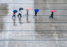 wal_172619-rain-7995866_640