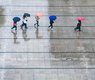 wal_172619-rain-7995866_640