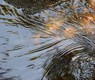 water-5025282_640