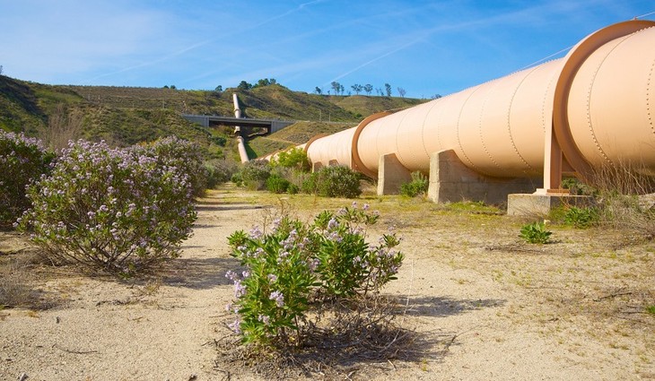 wildflowers-and-pipeline