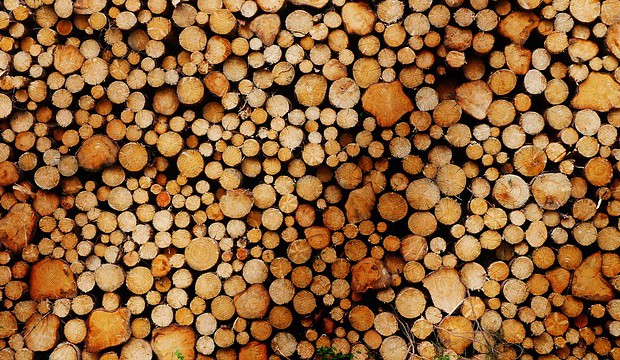 wood-5239490_640.jpg