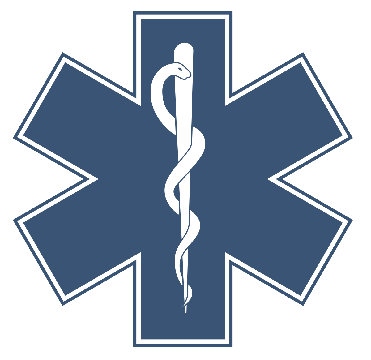 1200px-Star_of_life.svg.png
