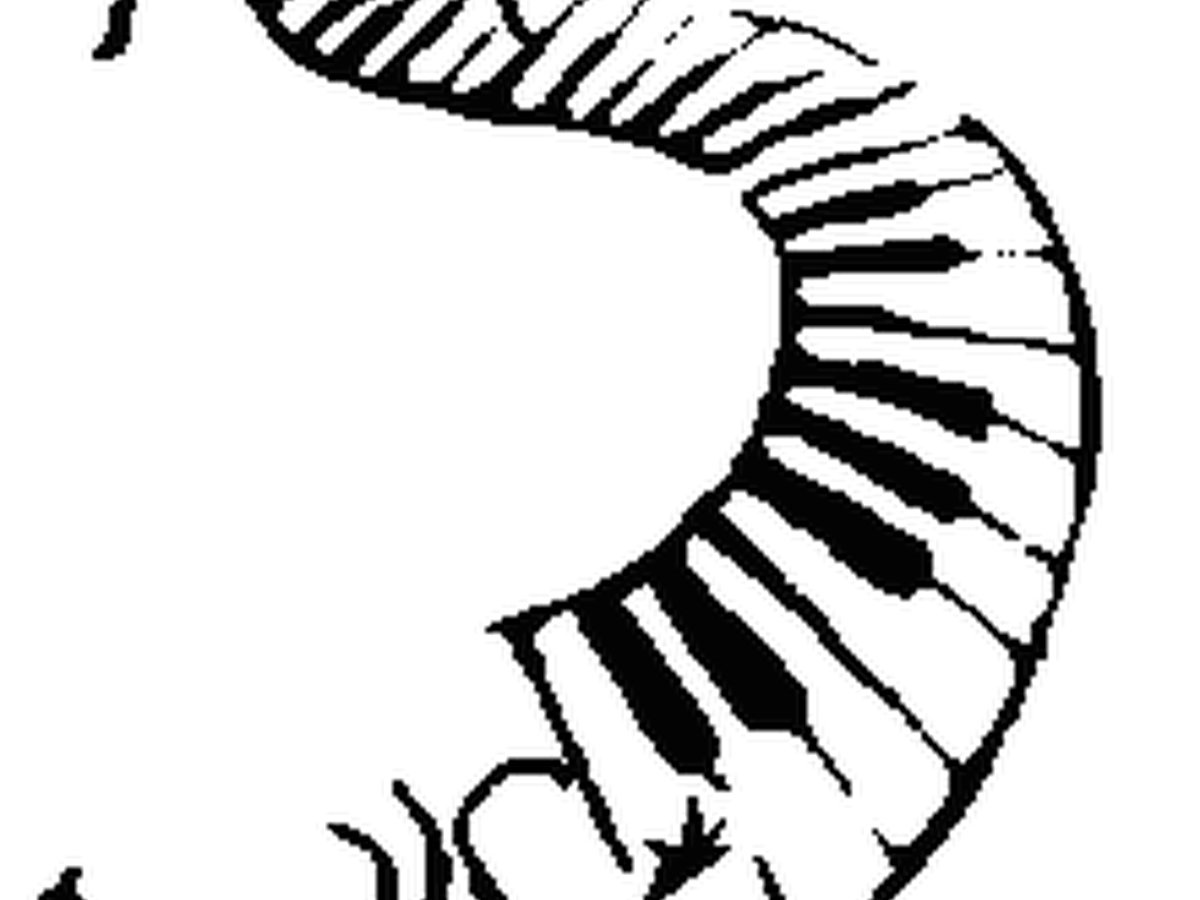 Rothwell Competitive Music Festival logo