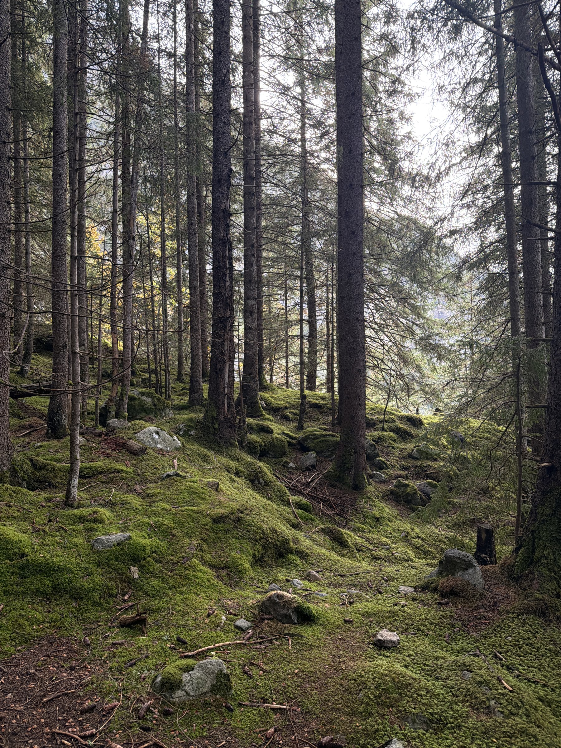 Pfingstegg – Marmorbruch