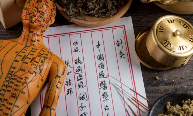 Medicina Tradicional China y FEI: La Fusión del Conocimiento para una Salud Óptima