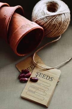 Immagine ambiente Generic, realizzato con piastrelle della collezione: Dream