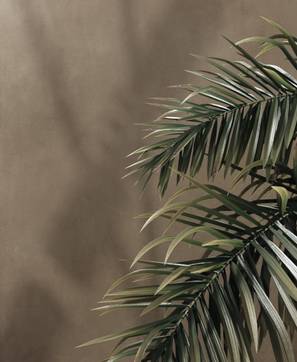 Raumabbildung Homescape, gestaltet mit Fliesen aus der Kollektion: Homescape