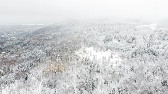 An aerial view shows a vast, snow-covered forest with evergreen and bare trees under an overcast sky. A city is visible on…
