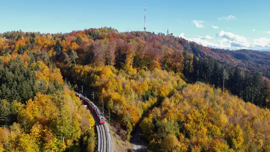 An aerial view shows a red train on a curved track through a vibrant autumn forest with yellow, orange, and green trees.